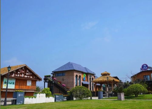一起追風(fēng)拾野，上海9條美麗鄉(xiāng)村休閑旅游路線全新亮相