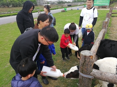 奶牛休閑觀光牧場:浙江一景生態牧場