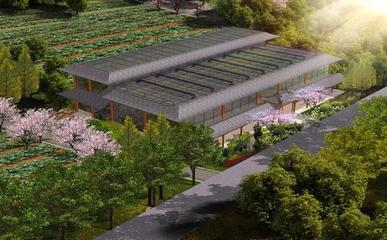 農業創業:植物工廠與康養農業如何發展