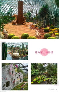 休閑觀光農業綜合體之農旅模式分享——盤古實操案例